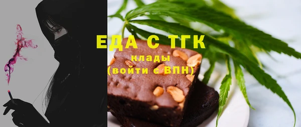 индика Алексин