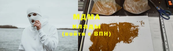 индика Алексин
