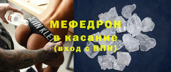 индика Алексин