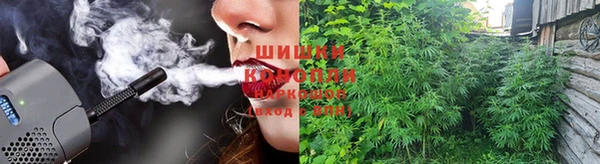 spice Алзамай