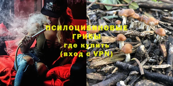 spice Алзамай