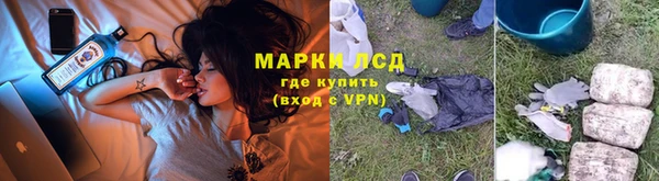 spice Алзамай