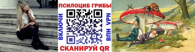 Псилоцибиновые грибы ЛСД  ОМГ ОМГ tor  Бабушкин 
