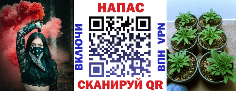 МЕГА рабочий сайт  Бабушкин  Каннабис LSD WEED 